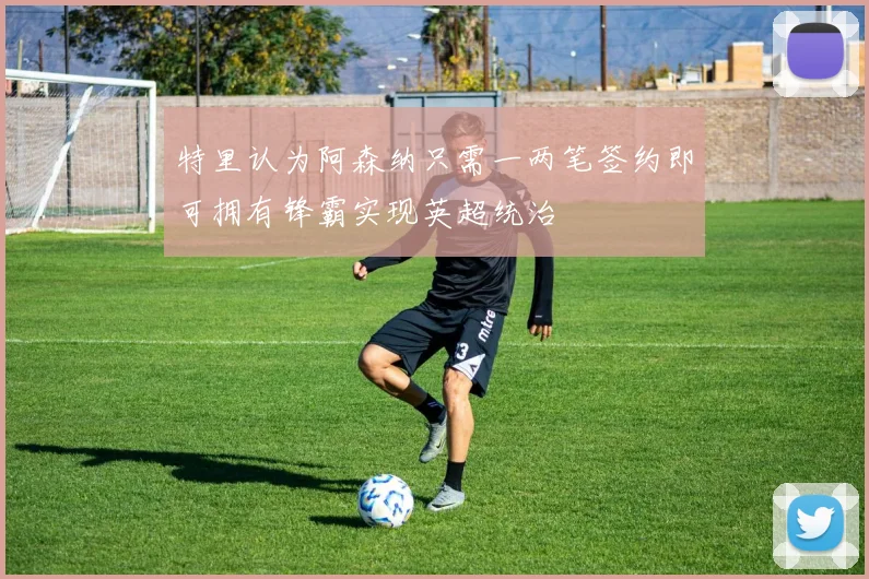 特里认为阿森纳只需一两笔签约即可拥有锋霸实现英超统治