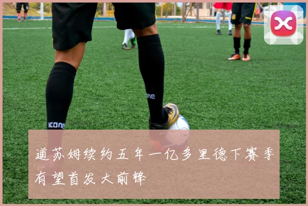 道苏姆续约五年一亿多里德下赛季有望首发大前锋